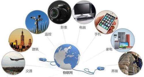 沈陽(yáng)智能制造升級(jí) 信息處理物聯(lián)網(wǎng)卡及網(wǎng)絡(luò)工程服務(wù)迎來(lái)特價(jià)機(jī)遇